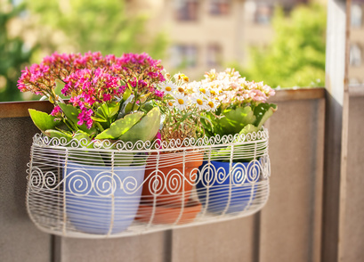 Filigraner Blumenkasten fuer den Balkon