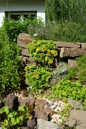 Üppig bepflanzte Trockenmauer